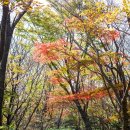 보림농장 이미지