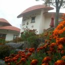 산청한방펜션 이미지