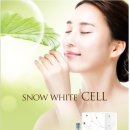 센텀쁘띠의원 이미지