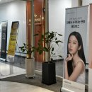 베이직병원 | 부산 서면피부과 블랙베이직 색소레이저 통해 기미 박멸한 찐 후기