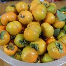 양주농장 이미지