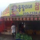 동팔이네 이미지