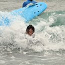 코코넛제주 이미지