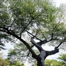 광양읍 유당공원 이미지