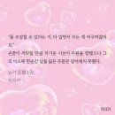 질투하는 고양이와 얼빠미남의 컬래버 이미지