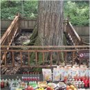 봉곡로-14 | 창원 봉곡동점집 방문기: 불사대신에서 받은 명쾌한 인생 상담 후기