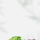 싱싱한하루 - 달성군 대실역북로1길 9 | 싱싱한하루