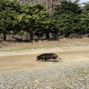 감골도서관 화장실 | [40]