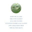 (주)나노환경 이미지