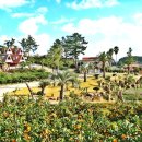 통나무펜션 이미지