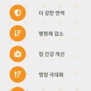 농업회사법인 주식회사 정봉벌꿀 이미지