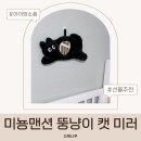 미뇽 캣 | 아이방소품 추천｜미뇽맨션 뚱냥이 캣 미러 선물 반응 후기
