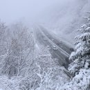 강원남부로 이미지