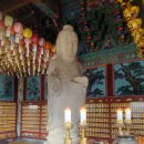 금낭화 | [청주 유명한 점집 추천] 약사부인 금낭화 방문후기 — 진솔한 상담 경험