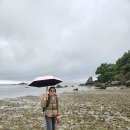 &#39; 은빛 혹은 붉은 갯벌&#39; 강화 석모도 바람길 풍경 이미지