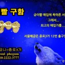 우주치과기공소 이미지