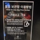 빈센트안경 | 부산 실내가볼만한 곳 아르떼뮤지엄 부산 핑크문페스타 후기 및 주차정보