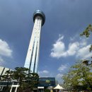 생태공원농장 | 작은 동물농장 아산환경과학공원 생태곤충원 아산그린...과학관 통합 이용후기 80일 아기와 함께 유모차...