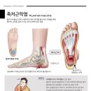 만성원광한의원 네이버블로그