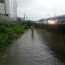 고일주유소 이미지