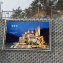 위무드 브런치
