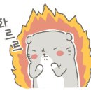 늑대정육식당