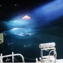 삼산면-6 이미지