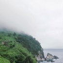 디톡스 화해숲