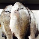 해신낚시식당 이미지