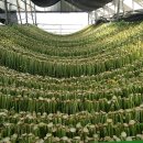 참좋은농장 이미지