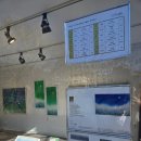 조례호수도서관 이미지