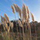 희망 행정사사무소 이미지