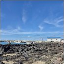 바당쿰다 이미지