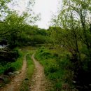 라온부동산중개사무소 이미지