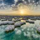 바다랑육지랑 이미지