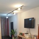 코델리아 이미지