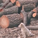 신하농장 이미지