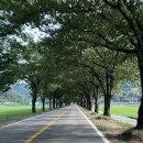 하동솔밭오리 이미지