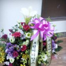 한승희 산부인과 의원 이미지