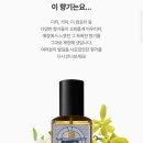 러쉬 매장 향기 향수 29하이스트릿 후기 주절주절..