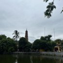 서호약국 이미지