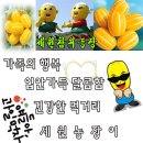 세원농장 이미지