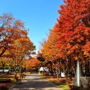 봉오대로 이미지