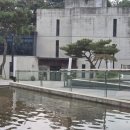 보나카바 이미지