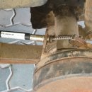 서울어린이대공원동물병원 이미지