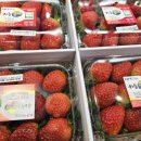 대림마트 이미지