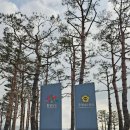 다짐 행정사 이미지