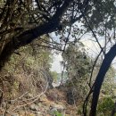 중문양옥 | 이른 봄에 떠나는 올레길 (5) - 서귀포가 코앞이다, 중문-법환포구(feat. 월평리 커뮤니테이블)