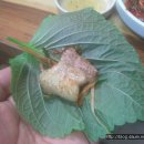 고향마루 - 경주시 양남로 73 | 고향마루