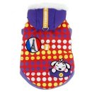 봉주르독 이미지